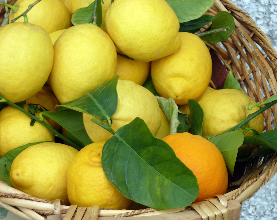 How to grow your own lemon tree